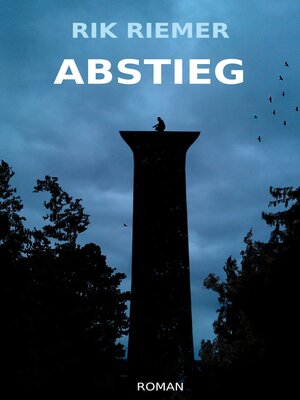 cover image of Abstieg